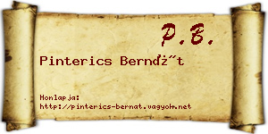 Pinterics Bernát névjegykártya